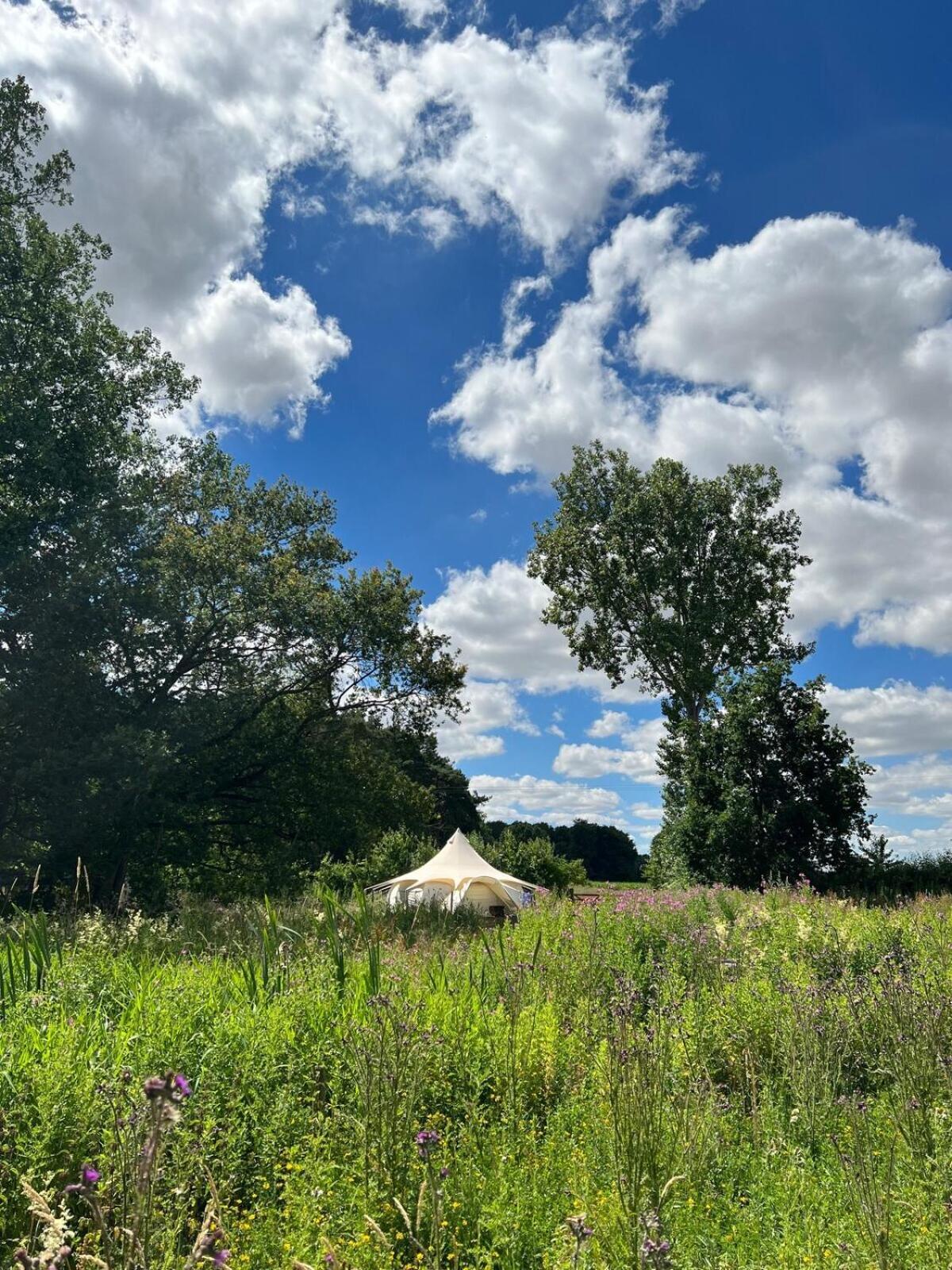 Moat Island Glamping Campsite